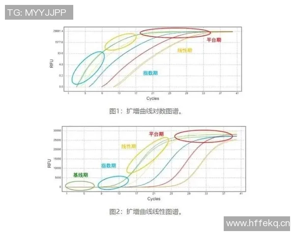成都滑板队速度表现数据分析揭示训练效果与运动员潜力的关系 成都滑板队速度表现数据分析揭示训练效果与运动员潜力的关系